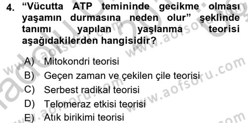 Temel Sağlık Ve Hastalık Bilgisi Dersi 2016 - 2017 Yılı 3 Ders Sınav Soruları 4. Soru