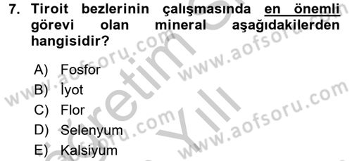 Temel Sağlık Ve Hastalık Bilgisi Dersi 2016 - 2017 Yılı 3 Ders Sınav Soruları 7. Soru