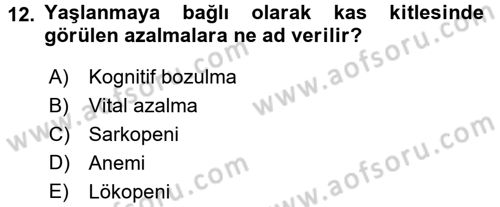 Temel Sağlık Ve Hastalık Bilgisi Dersi 2016 - 2017 Yılı (Vize) Ara Sınav Soruları 12. Soru