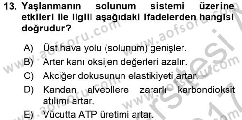 Temel Sağlık Ve Hastalık Bilgisi Dersi 2016 - 2017 Yılı (Vize) Ara Sınav Soruları 13. Soru