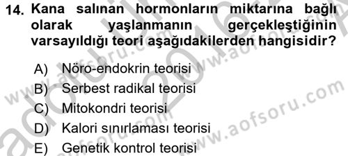 Temel Sağlık Ve Hastalık Bilgisi Dersi 2016 - 2017 Yılı (Vize) Ara Sınav Soruları 14. Soru