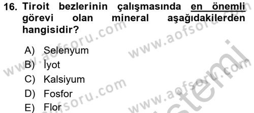 Temel Sağlık Ve Hastalık Bilgisi Dersi 2016 - 2017 Yılı (Vize) Ara Sınav Soruları 16. Soru