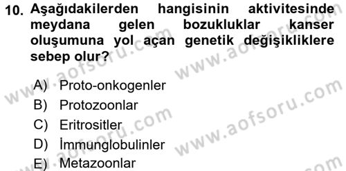Temel Sağlık Ve Hastalık Bilgisi Dersi 2016 - 2017 Yılı (Final) Dönem Sonu Sınav Soruları 10. Soru