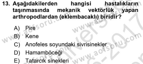 Temel Sağlık Ve Hastalık Bilgisi Dersi 2016 - 2017 Yılı (Final) Dönem Sonu Sınav Soruları 13. Soru