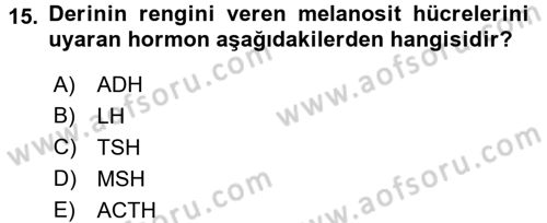 Temel Sağlık Ve Hastalık Bilgisi Dersi 2016 - 2017 Yılı (Final) Dönem Sonu Sınav Soruları 15. Soru
