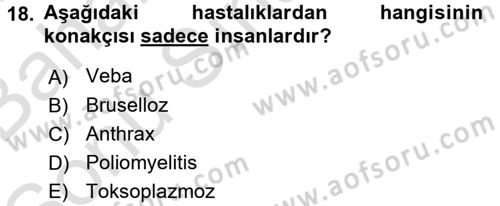 Temel Sağlık Ve Hastalık Bilgisi Dersi 2016 - 2017 Yılı (Final) Dönem Sonu Sınav Soruları 18. Soru