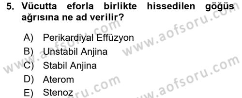 Temel Sağlık Ve Hastalık Bilgisi Dersi 2016 - 2017 Yılı (Final) Dönem Sonu Sınav Soruları 5. Soru