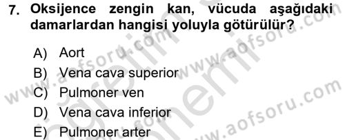 Temel Sağlık Ve Hastalık Bilgisi Dersi 2016 - 2017 Yılı (Final) Dönem Sonu Sınav Soruları 7. Soru