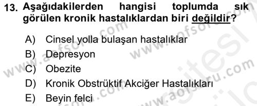 Temel Sağlık Ve Hastalık Bilgisi Dersi 2017 - 2018 Yılı 3 Ders Sınav Soruları 13. Soru