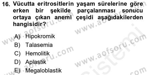 Temel Sağlık Ve Hastalık Bilgisi Dersi 2017 - 2018 Yılı 3 Ders Sınav Soruları 16. Soru