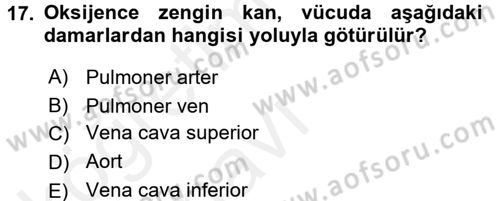 Temel Sağlık Ve Hastalık Bilgisi Dersi 2017 - 2018 Yılı 3 Ders Sınav Soruları 17. Soru