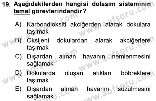 Temel Sağlık Ve Hastalık Bilgisi Dersi 2017 - 2018 Yılı 3 Ders Sınav Soruları 19. Soru