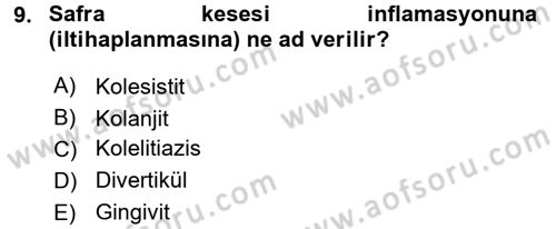 Temel Sağlık Ve Hastalık Bilgisi Dersi 2017 - 2018 Yılı 3 Ders Sınav Soruları 9. Soru