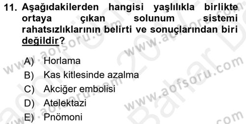 Temel Sağlık Ve Hastalık Bilgisi Dersi 2017 - 2018 Yılı (Vize) Ara Sınav Soruları 11. Soru