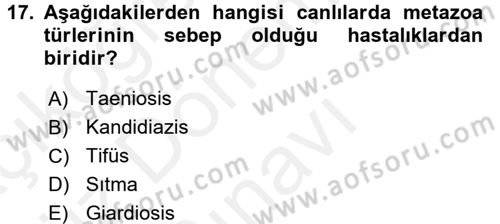 Temel Sağlık Ve Hastalık Bilgisi Dersi 2017 - 2018 Yılı (Final) Dönem Sonu Sınav Soruları 17. Soru