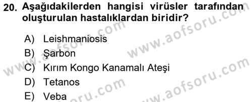 Temel Sağlık Ve Hastalık Bilgisi Dersi 2017 - 2018 Yılı (Final) Dönem Sonu Sınav Soruları 20. Soru