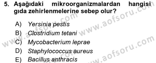 Temel Sağlık Ve Hastalık Bilgisi Dersi 2017 - 2018 Yılı (Final) Dönem Sonu Sınav Soruları 5. Soru