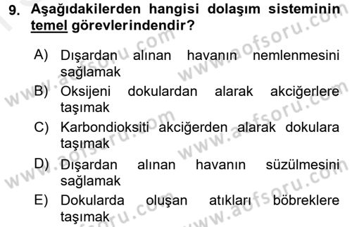 Temel Sağlık Ve Hastalık Bilgisi Dersi 2017 - 2018 Yılı (Final) Dönem Sonu Sınav Soruları 9. Soru