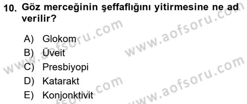 Temel Sağlık Ve Hastalık Bilgisi Dersi 2021 - 2022 Yılı (Final) Dönem Sonu Sınav Soruları 10. Soru