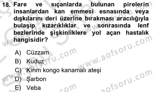 Temel Sağlık Ve Hastalık Bilgisi Dersi 2021 - 2022 Yılı (Final) Dönem Sonu Sınav Soruları 18. Soru