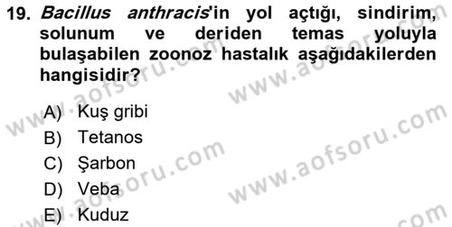 Temel Sağlık Ve Hastalık Bilgisi Dersi 2021 - 2022 Yılı (Final) Dönem Sonu Sınav Soruları 19. Soru