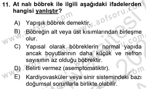 Temel Sağlık Ve Hastalık Bilgisi Dersi 2022 - 2023 Yılı (Vize) Ara Sınav Soruları 11. Soru