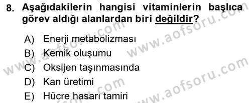 Temel Sağlık Ve Hastalık Bilgisi Dersi 2022 - 2023 Yılı (Vize) Ara Sınav Soruları 8. Soru
