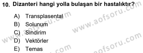 Temel Sağlık Ve Hastalık Bilgisi Dersi 2022 - 2023 Yılı (Final) Dönem Sonu Sınav Soruları 10. Soru