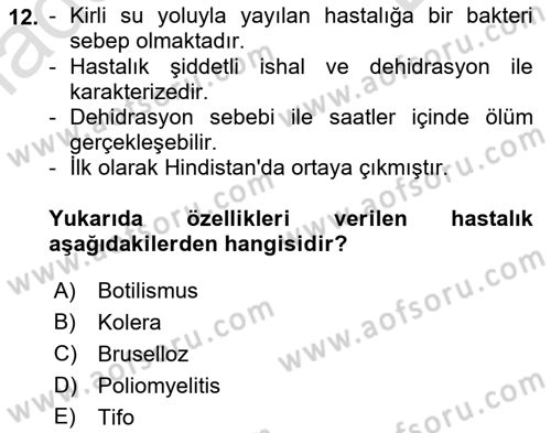 Temel Sağlık Ve Hastalık Bilgisi Dersi 2022 - 2023 Yılı (Final) Dönem Sonu Sınavı 12. Soru