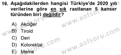 Temel Sağlık Ve Hastalık Bilgisi Dersi 2022 - 2023 Yılı (Final) Dönem Sonu Sınavı 16. Soru