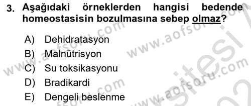 Temel Sağlık Ve Hastalık Bilgisi Dersi 2023 - 2024 Yılı (Vize) Ara Sınav Soruları 3. Soru