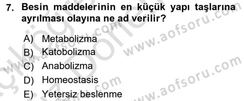 Temel Sağlık Ve Hastalık Bilgisi Dersi 2023 - 2024 Yılı (Vize) Ara Sınav Soruları 7. Soru