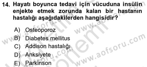 Temel Sağlık Ve Hastalık Bilgisi Dersi 2023 - 2024 Yılı (Final) Dönem Sonu Sınav Soruları 14. Soru