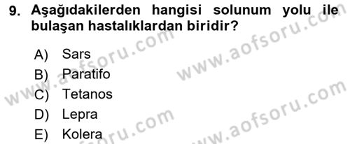 Temel Sağlık Ve Hastalık Bilgisi Dersi 2023 - 2024 Yılı (Final) Dönem Sonu Sınav Soruları 9. Soru