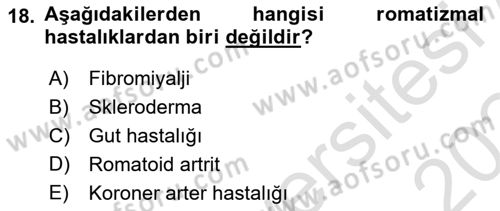 Temel Sağlık Ve Hastalık Bilgisi Dersi 2023 - 2024 Yılı Yaz Okulu Sınav Soruları 18. Soru
