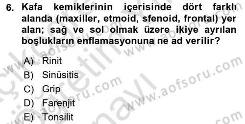 Temel Sağlık Ve Hastalık Bilgisi Dersi 2023 - 2024 Yılı Yaz Okulu Sınav Soruları 6. Soru