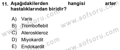 Temel Sağlık Ve Hastalık Bilgisi Dersi 2024 - 2025 Yılı (Vize) Ara Sınav Soruları 11. Soru