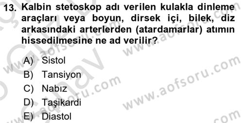 Temel Sağlık Ve Hastalık Bilgisi Dersi 2024 - 2025 Yılı (Vize) Ara Sınav Soruları 13. Soru