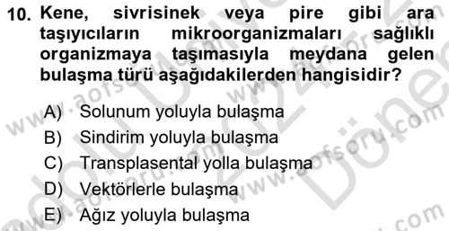 Temel Sağlık Ve Hastalık Bilgisi Dersi 2024 - 2025 Yılı (Final) Dönem Sonu Sınav Soruları 10. Soru