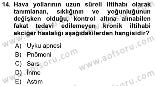 Temel Sağlık Ve Hastalık Bilgisi Dersi 2024 - 2025 Yılı (Final) Dönem Sonu Sınav Soruları 14. Soru