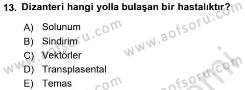 Temel Sağlık Ve Hastalık Bilgisi Dersi 2024 - 2025 Yılı Yaz Okulu Sınav Soruları 13. Soru
