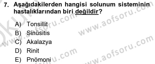 Temel Sağlık Ve Hastalık Bilgisi Dersi 2024 - 2025 Yılı Yaz Okulu Sınav Soruları 7. Soru