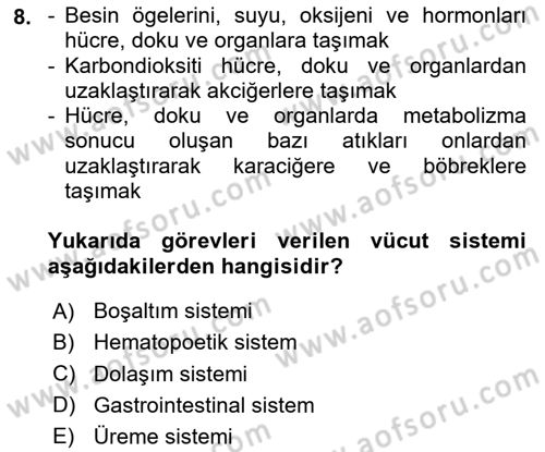 Temel Sağlık Ve Hastalık Bilgisi Dersi 2024 - 2025 Yılı Yaz Okulu Sınav Soruları 8. Soru