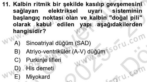 Temel Sağlık Ve Hastalık Bilgisi Dersi 2025 - 2026 Yılı (Vize) Ara Sınav Soruları 11. Soru