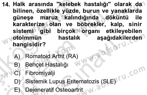 Temel Sağlık Ve Hastalık Bilgisi Dersi 2025 - 2026 Yılı (Vize) Ara Sınav Soruları 14. Soru