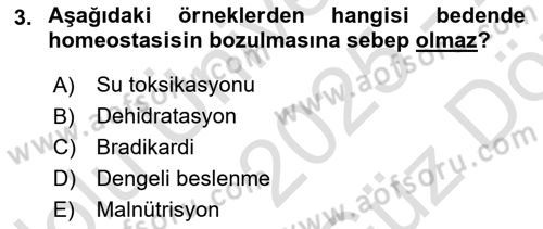 Temel Sağlık Ve Hastalık Bilgisi Dersi 2025 - 2026 Yılı (Vize) Ara Sınav Soruları 3. Soru