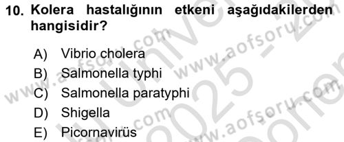 Temel Sağlık Ve Hastalık Bilgisi Dersi 2025 - 2026 Yılı (Final) Dönem Sonu Sınav Soruları 10. Soru