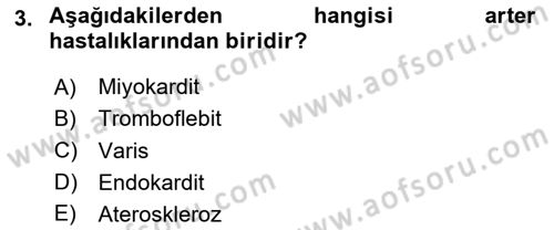 Temel Sağlık Ve Hastalık Bilgisi Dersi 2025 - 2026 Yılı (Final) Dönem Sonu Sınav Soruları 3. Soru