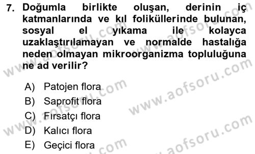 Temel Sağlık Ve Hastalık Bilgisi Dersi 2025 - 2026 Yılı (Final) Dönem Sonu Sınav Soruları 7. Soru
