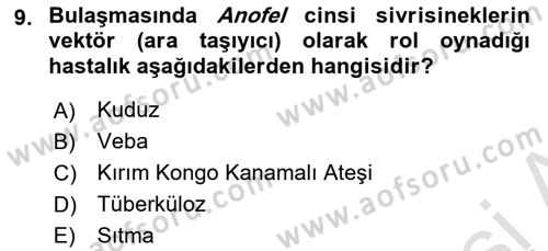 Temel Sağlık Ve Hastalık Bilgisi Dersi 2025 - 2026 Yılı (Final) Dönem Sonu Sınav Soruları 9. Soru